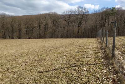 Teren de 4041 mp, în Dobârlău - 4