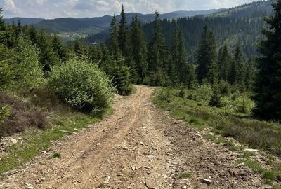 Spațiu comercial, în Poiana Horea - 3