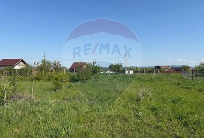 Teren 500 mp | Harman - zona Fish for Life| PUZ existent - 4