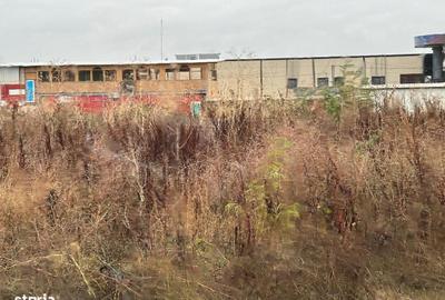 Teren de 1000 mp, în Ștefăneștii de Jos - 10