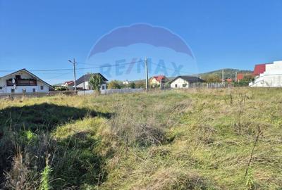 Teren 720mp Sighetu Marmatiei / Strada Lazul Sesului - 1