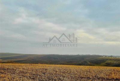 Teren pentru casa cu vedere frumoasa - 2