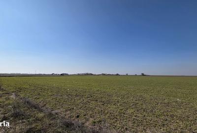 Spațiu comercial, în Corbu - 3