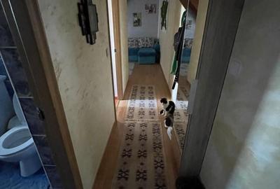 Apartament cu 3 camere decomandat în George Enescu - 5