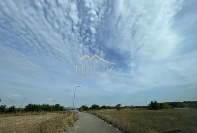 Teren Construcții intravilan de 15000 mp, în Snagov - 4