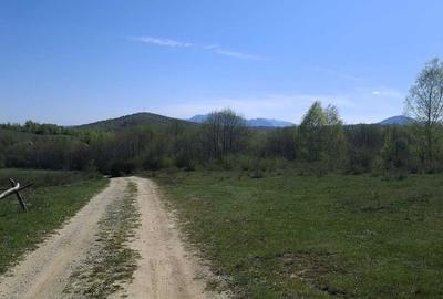 Teren de 500 mp, în Predeluț - 5