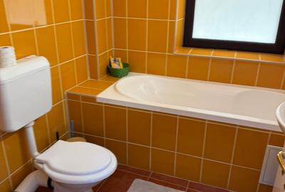 Inchiriere apartament 3 camere zona Unirii fantani - 11