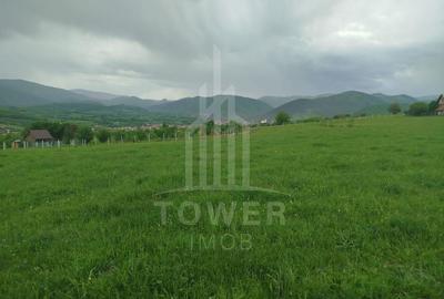 Teren de vinzare in Tropini Vechi - 5