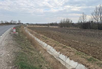 Teren agricol extravilan de 3618 mp, în Periferie - 11