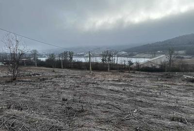 Teren de 596 mp, în Șorogari - 1