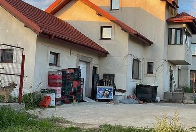 Casă cu Canalizare în Domnești - 4