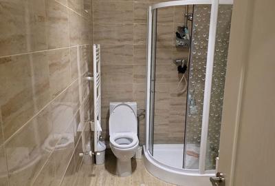 Garsonieră decomandată în Tudor Vladimirescu - 4