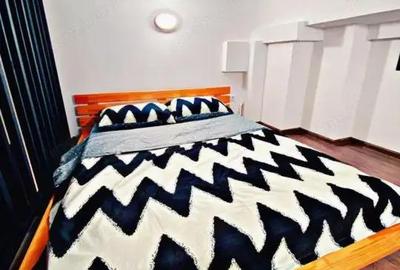 Apartament cu o camera in zona Torontalului - 2