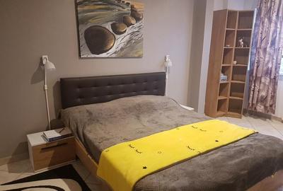 Apartament doua camere, deco, mobilat utilat frumos, Parcul Catedralei - 21