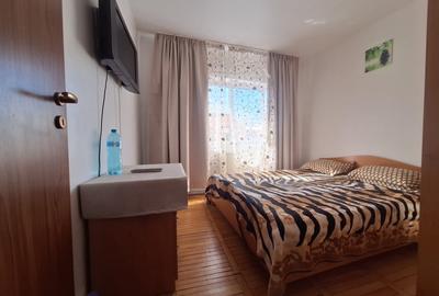 Apartament cu 3 camere decomandat, mobilat în Buziașului - 5