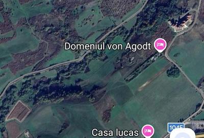 Teren de 10000 mp, în Bradu - 3