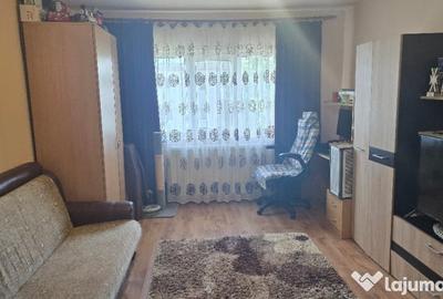Apartament cu 2 camere decomandat în Liliacului - 13