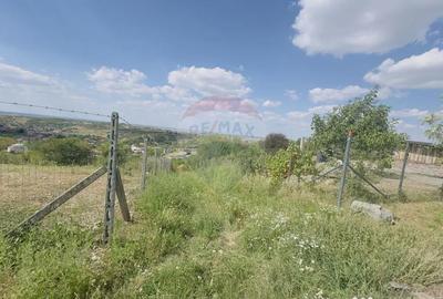 Teren de 6372 mp, în Paleu - 12