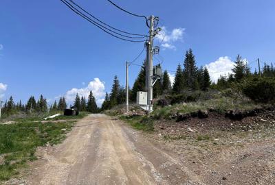 Teren de 1000 mp, în Muntele Băișorii - 3