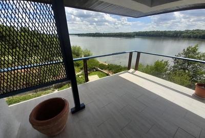 Casa de vacanta superba cu vedere la Dunare - Topalu, Constanta - 2