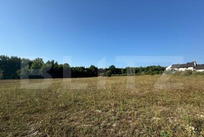 Teren intravilan, 3000mp, com. Darmanesti - 1