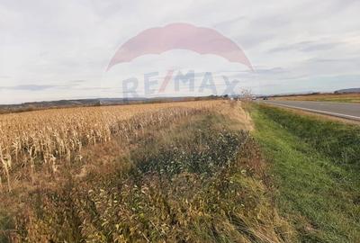 De vanzare teren intravilan, in Sabolciu,  cu deschidere la E 60 - 4