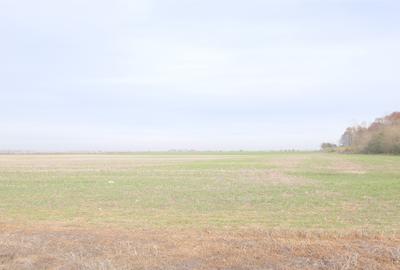 Ocazie ! GHERGHITA - nodul A3, 27 Ha. teren compact cu P.U.Z. aprobat Ocazie ! GHERGHITA - nodul A3, 27 Ha. teren compact cu P.U.Z. aprobat - 2