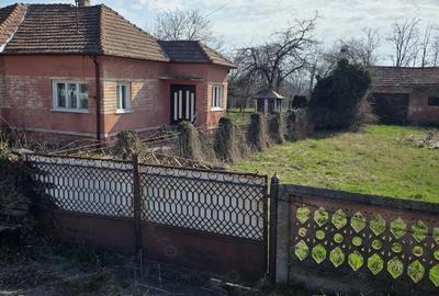 Casă cu Teren 2800 Mp în Totești - 4