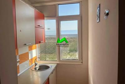 Garsoniera decomandata de vanzare pivnita Sibiu Vasile Aaron - 2