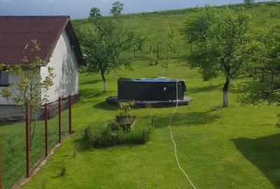 Casă cu 2 camere cu Teren 7500 Mp în Sulighete - 10