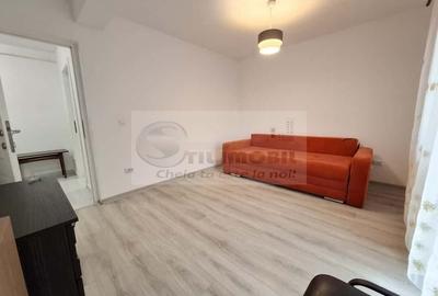 Apartament 2 camere, mobilat, Lunca Cetatuii, liber, baie cu geam - 10