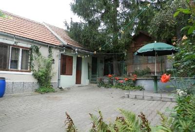 Casă de vânzare în Calnic, Alba – liniște, natură și potențial turistic - 5