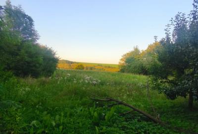 Casă cu 2 camere cu Teren 3500 Mp în Negostina - 7