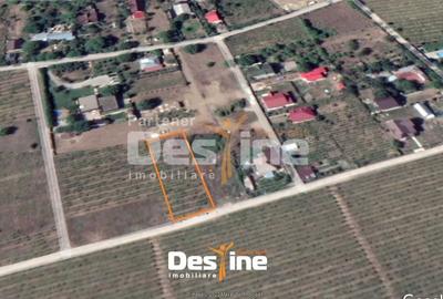 Teren Construcții intravilan de 974 mp, în Bârnova - 1