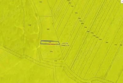 Teren extravilan Sotanga, ID: R2590381 - 7