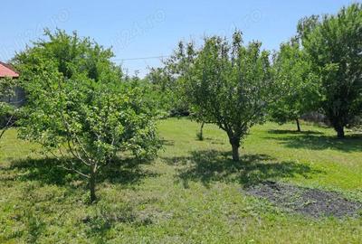 Casă cu 5 camere cu Teren 1375 Mp în Frumușani - 3