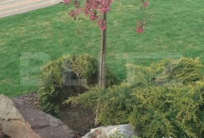 Casă cu 5 camere cu Teren 2743 Mp în Sud - 5