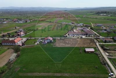 Teren Construcții intravilan de 6124 mp, în Coltău - 5