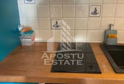 Apartament cu o camera in centul orasului,centrala proprie!!! - 7