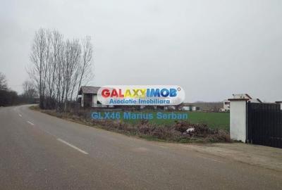 Vanzare teren Clinceni - 11