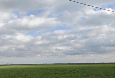 Teren de 14850 mp, în Pielești - 2