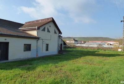 Casă cu 8 camere în Teiu - 1