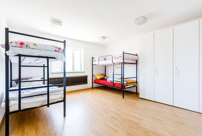 De vanzare proprietate pretabila cazare/locuire/pensiune rurala,  Carani, Timis - 38