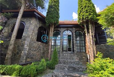 Royal Imobiliare -vanzare vila/ casa de vacanta zona CAMPINA - 3