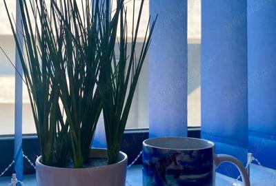 Apartament cu 2 camere în Năvodari Tabără - 3