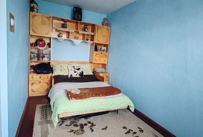 Apartament cu 2 camere semidecomandat în Săsar