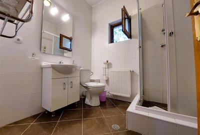 Casă individuală cu 4 camere cu Canalizare în Cioplea - 10