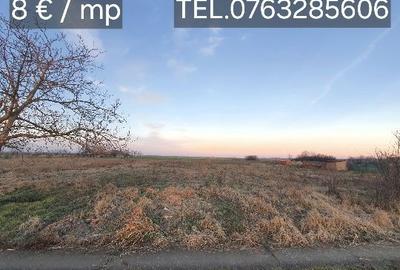 Spațiu comercial, în Cenad - 7