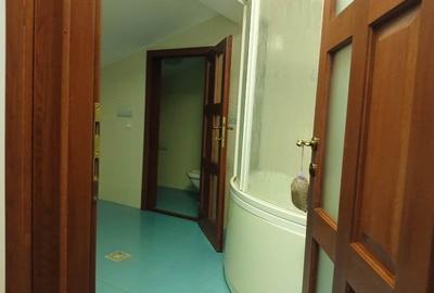 Inchiriere Vila individuala Berceni-Giurgiului - 26