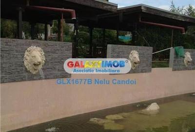 VANZARE 10.000 MP LOCALITATEA ILEANA 49 KM BUCURESTI - 3